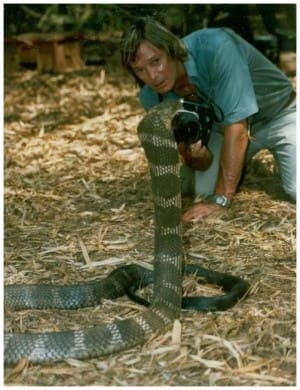 cobra shot