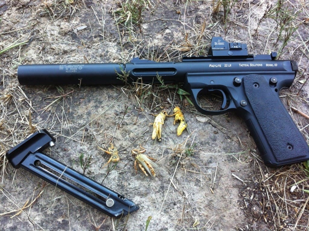 Accurate?  You bet.  Those are grasshoppers harvested with that setup.