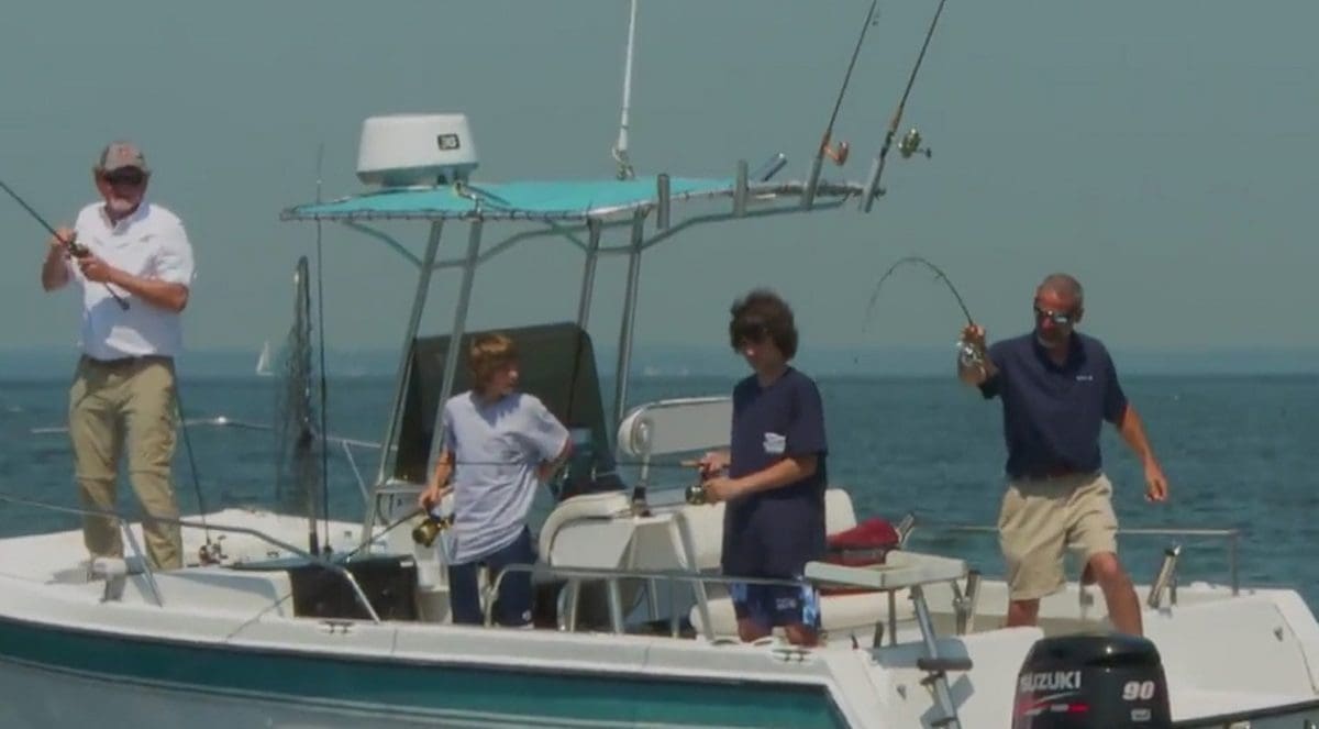 lures or bait