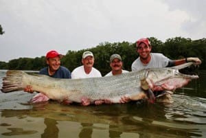 TF&G - alligator-gar-hunting-trini