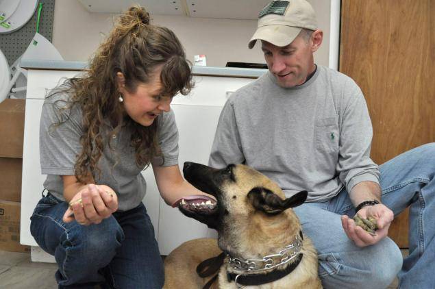 odd-dog-eats-ammo-2