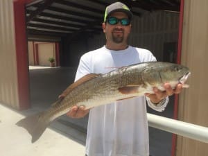 Ryan Cantu_2015 Tagged Redfish Winner #4