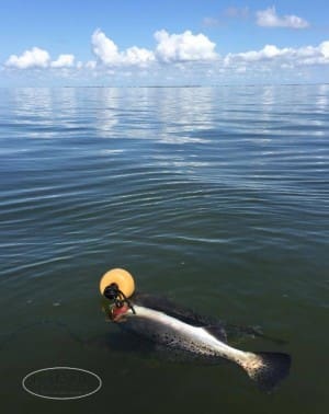 TFG - COASTAL TROUT FISHING