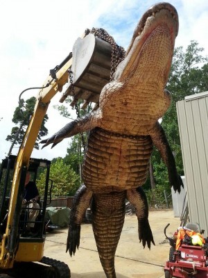gator-lake-eufaulajpg-7e5e02f20cd98a55