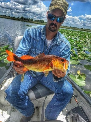635784426002087453-orange-bass