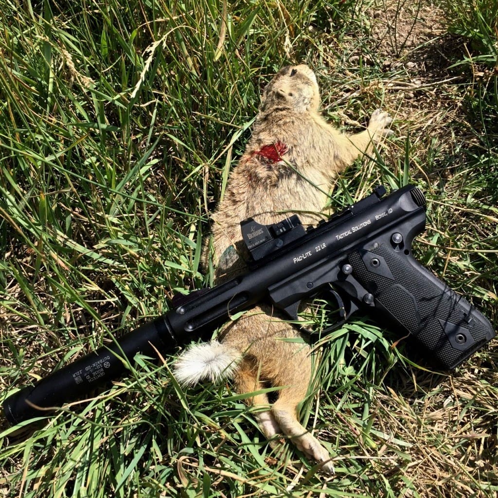 .22LR was pretty ineffective on the prairie dogs, however we did confirm a few shots.