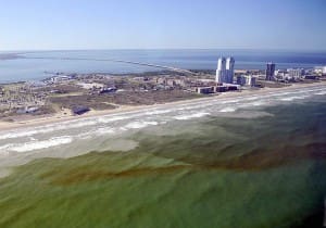 Red tide cell concentrations around South Padre Island.