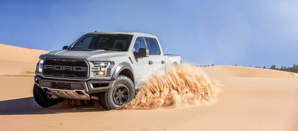 Gray_Raptor_Dunes_Action_0190-2500px (2)