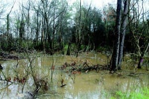 TF&G - SABINE RIVER FLOODING