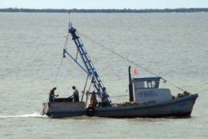 TF&G - OYSTERING CLOSED IN LAVACA BAY