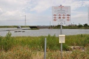 TF&G - DIOXIN IN GALVESTON BAY
