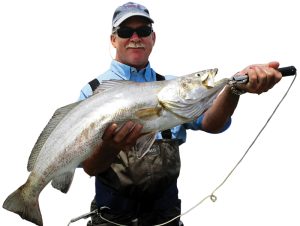 Big trout tend to favor water temps over 75° and higher salinity.
