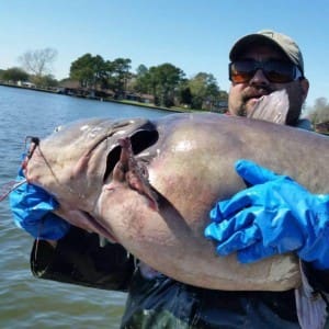 TF&G - BIG CATFISH FROM LAKE CONROE