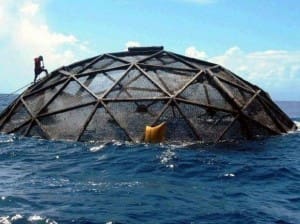 TF&G - FISH FARMING GULF OF MEXICO