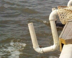 crabbing