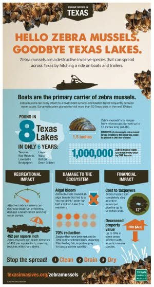 2016_zebra_mussel_infographic