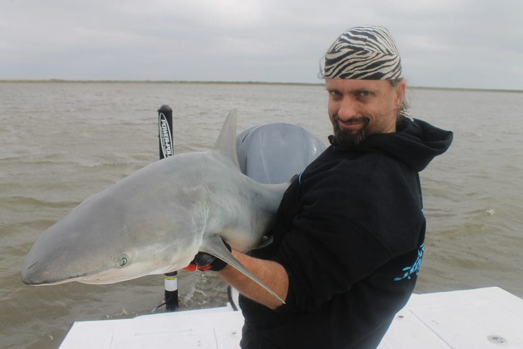 Blacktips can grow to fairly large sizes and and are extremely exciting sportfish with impressive acrobatic ability.
