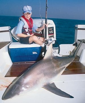 A shark at the boat can cause all kinds of excitement. They definitely require special treatment. When coastal waters warm up, sharks are virtually everywhere, from back bays to surf sand bars, and naturally, offshore.