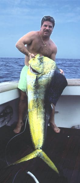 This huge dolphin weighed 61 1/2 pounds.