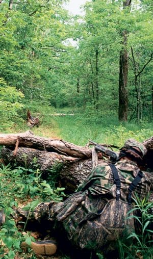 This hunter is taking aim at a strutting eastern turkey.