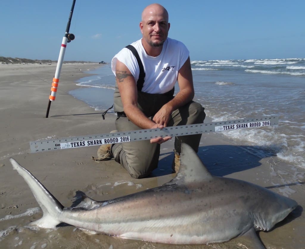 Blacktip Shark at PINS