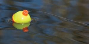 bank fishing