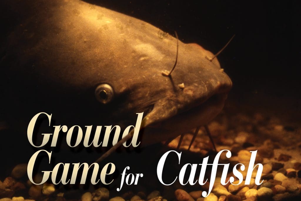 Ground Game for Catfish