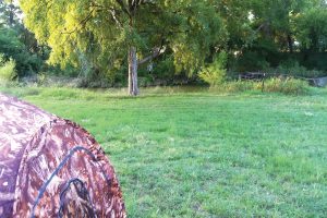 The author set up this pop-up archery blind just 15 minutes from his house in Austin.