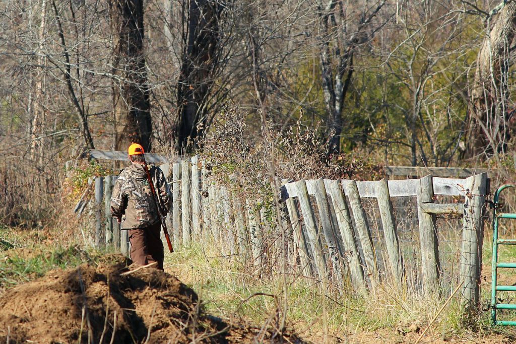 hunters divided