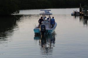 fishing in the mangroves with navionics