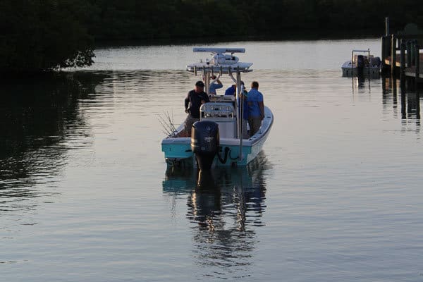 fishing in the mangroves