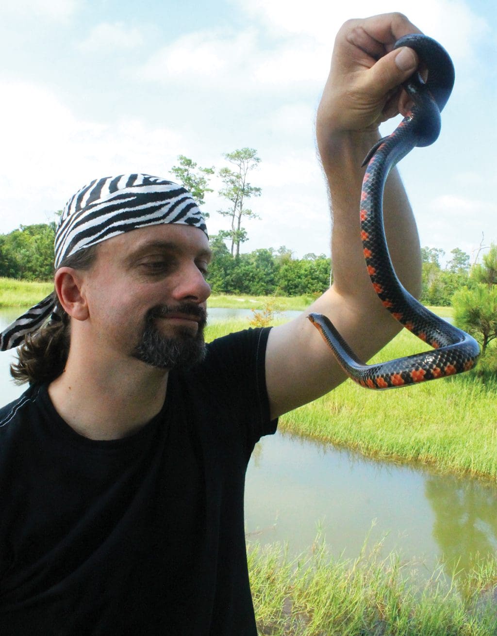 Mud Snake