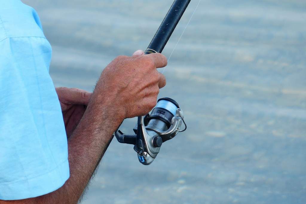 spinning reel