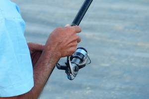 spinning reel