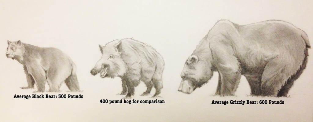 hog-comparison