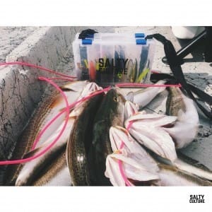 A nice mix of trout and redfish could reel you in part of the estimated $10,000 cash payout. Register online for the Salty Classic Fishing Tournament at www.saltyclassic.com. Photo courtesy of Clint Shuttlesworth.