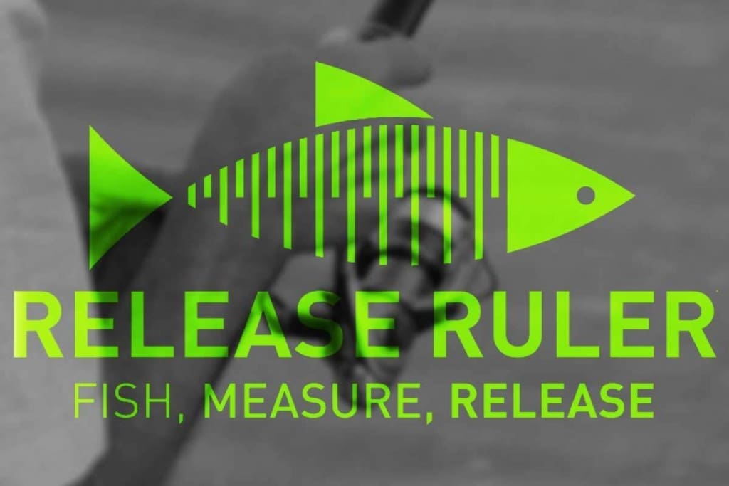 release ruler
