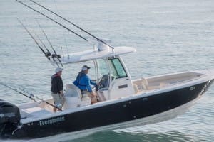 everglades 273cc