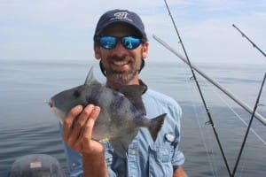 trigger fish
