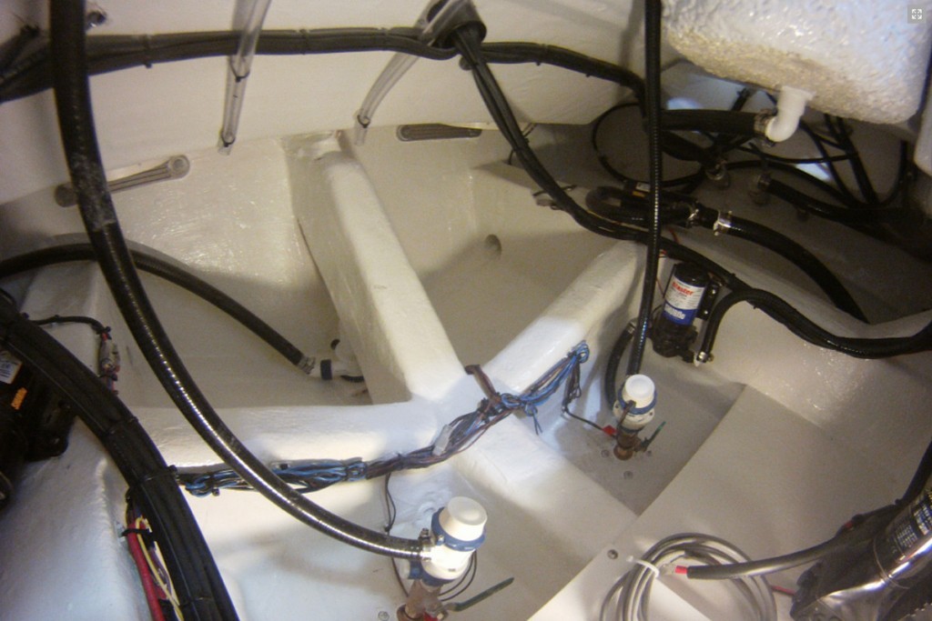 cobia bilge