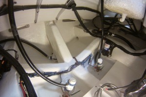 cobia bilge