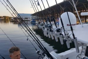 fishing rods