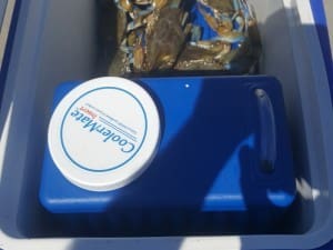 cooler insert