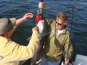 black drum fishing