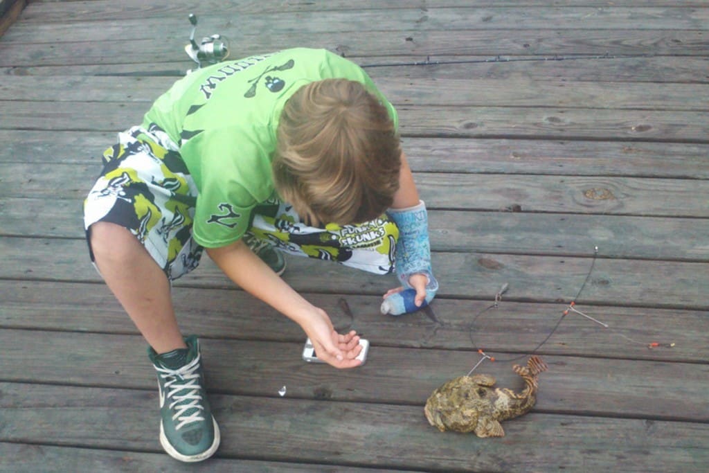 toad fish