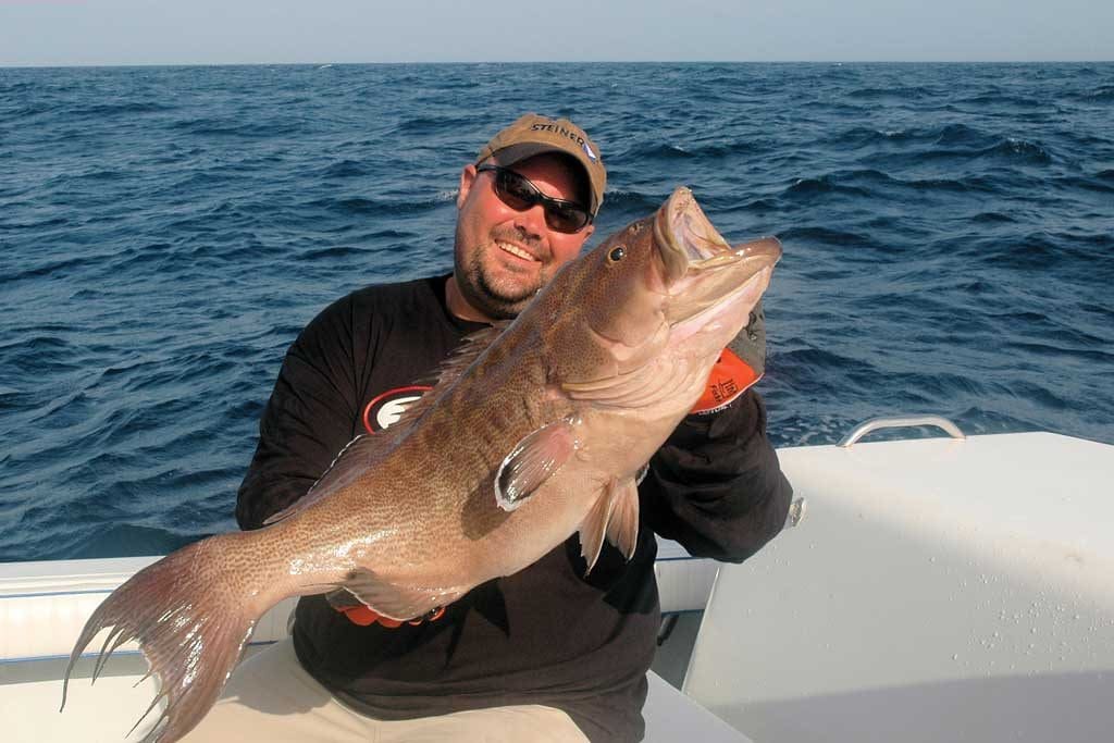 grouper