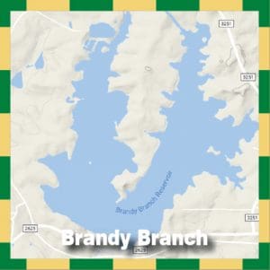 Brandy Branch