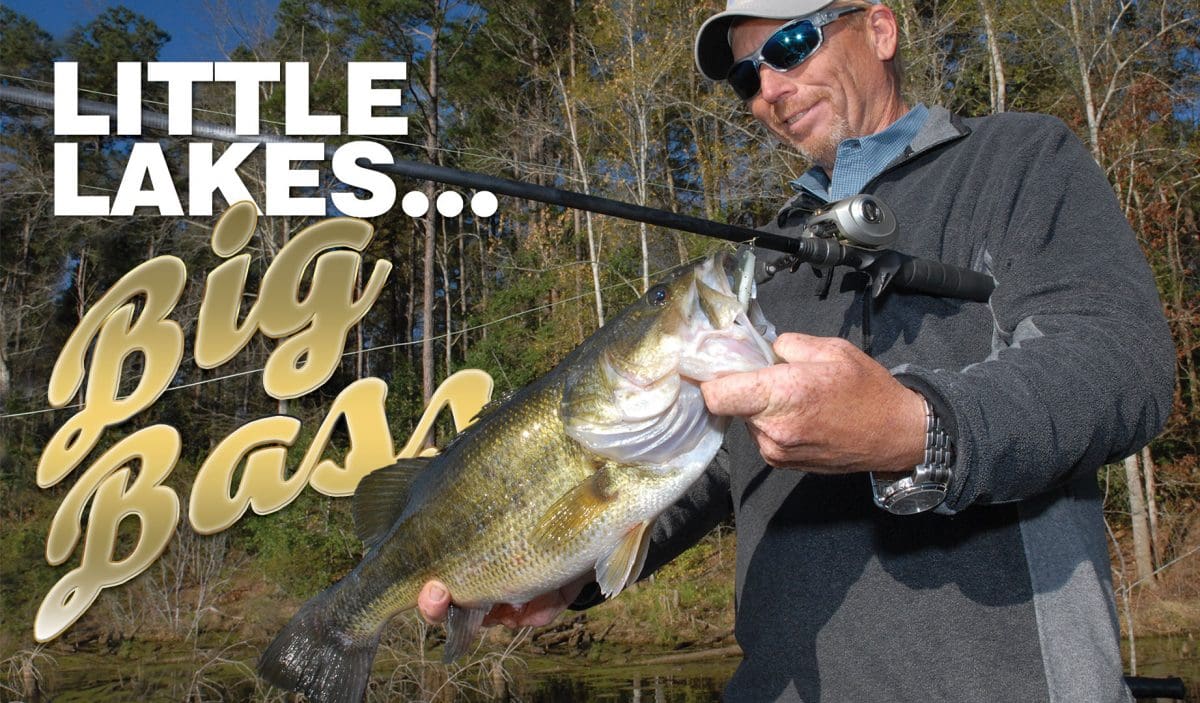 Little Lakes, big bass