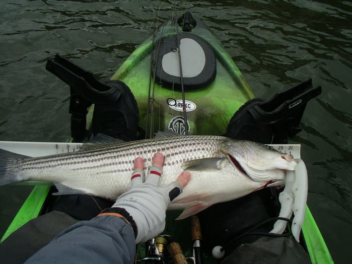 kayak trolling