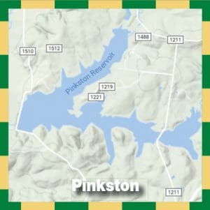 Pinkston